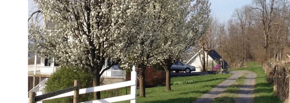 Cardinal Ridge image 1