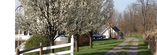 Cardinal Ridge image 3