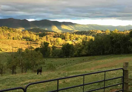 Cardinal Ridge image 2