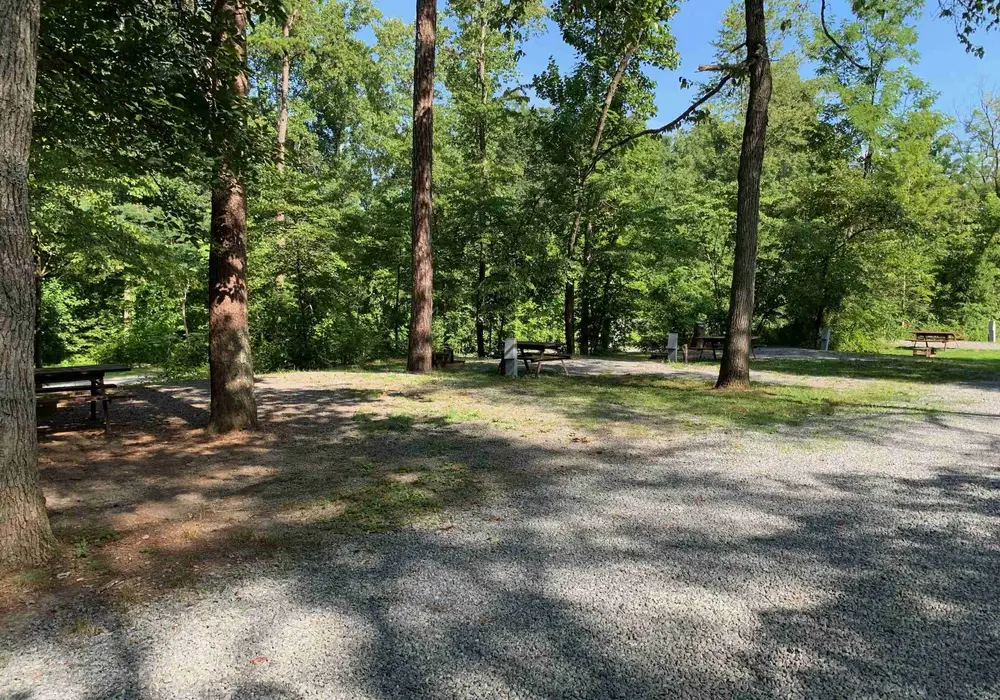 Charlottesville KOA image 1