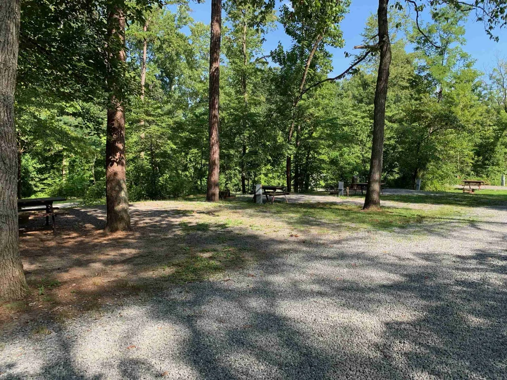 Charlottesville KOA image 1