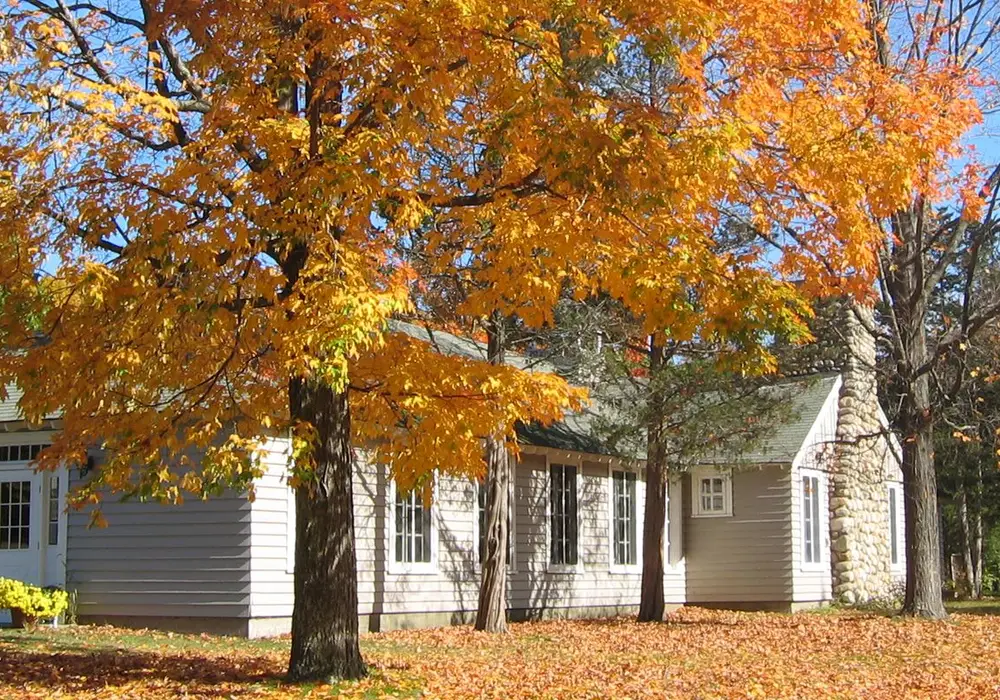 Tuxbury Tiny House Village image 1