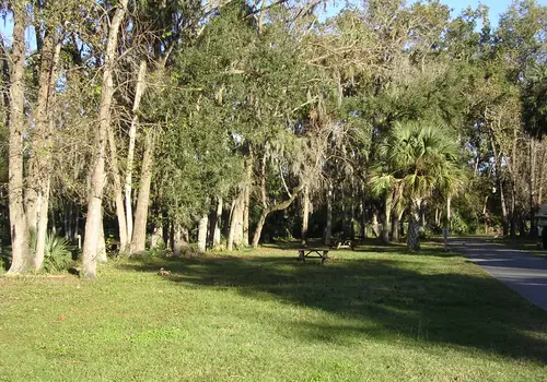 Nova Campground image 2