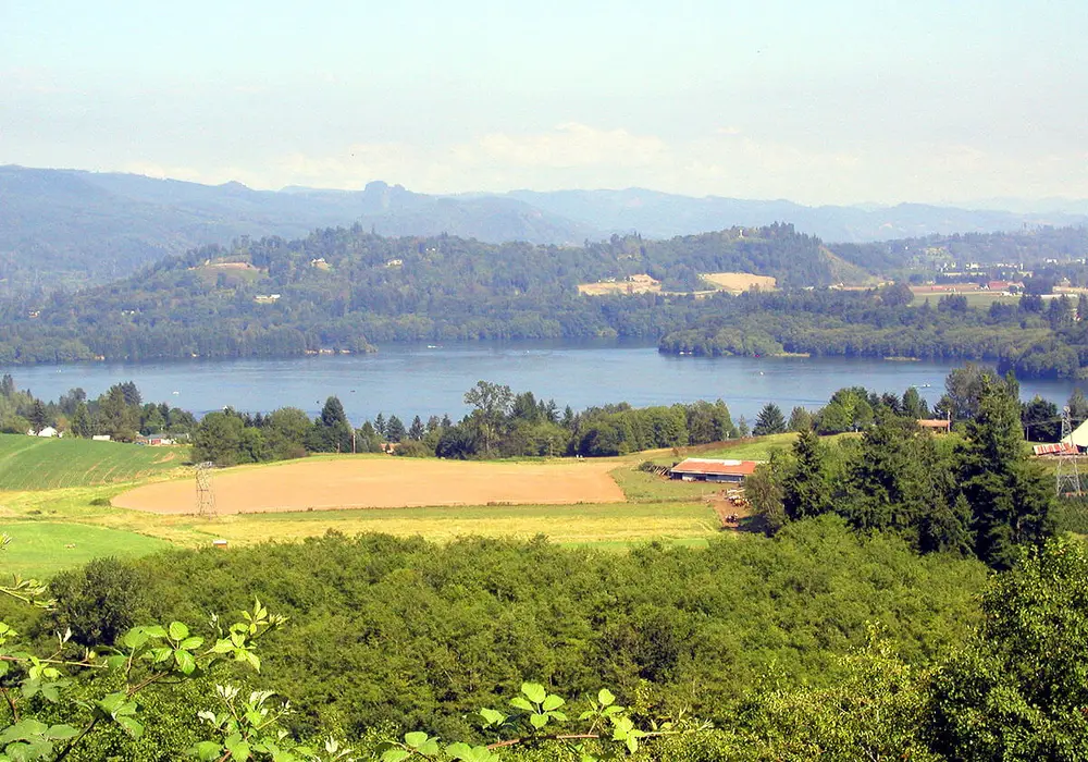 Paradise image 1