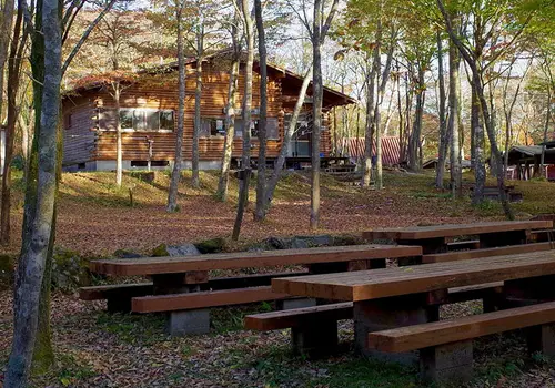 Pine Lake Campground image 2