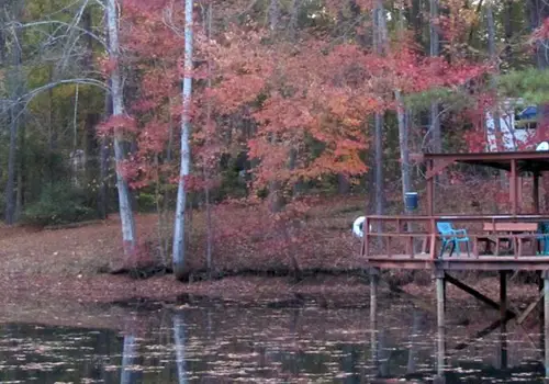 Pine Lake Campground image 3