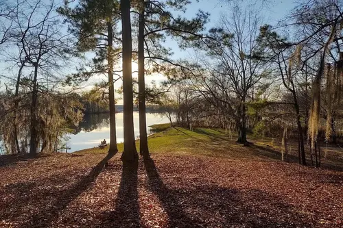 Roland Cooper state Park - Tiny home community in Camden, Alabama