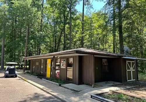 Roland Cooper state Park image 3