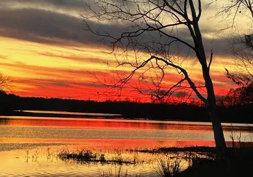Roland Cooper state Park image 2