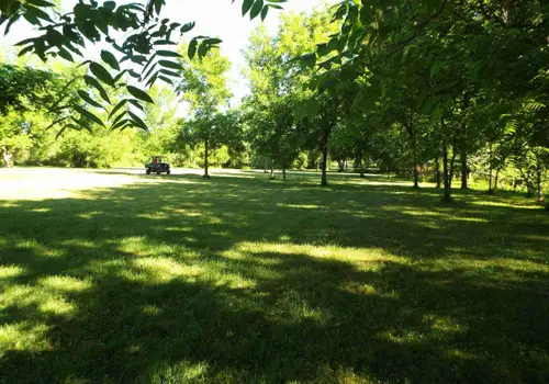 Buffalo Creek Bluffs (BCB) image 2