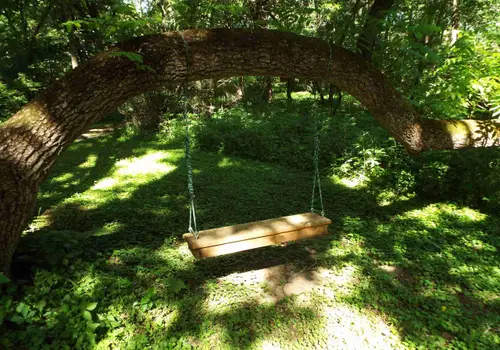 Buffalo Creek Bluffs (BCB) image 4