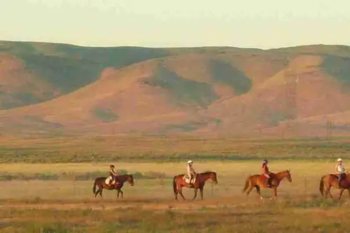 Dream River Ranch - Tiny home community in Oasis, Idaho