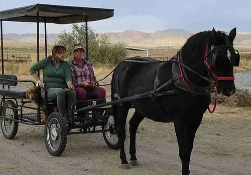 Dream River Ranch image 3