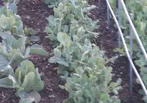 Dream River Ranch image 5