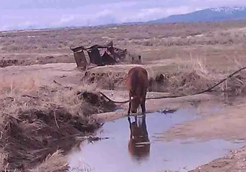 Dream River Ranch image 4