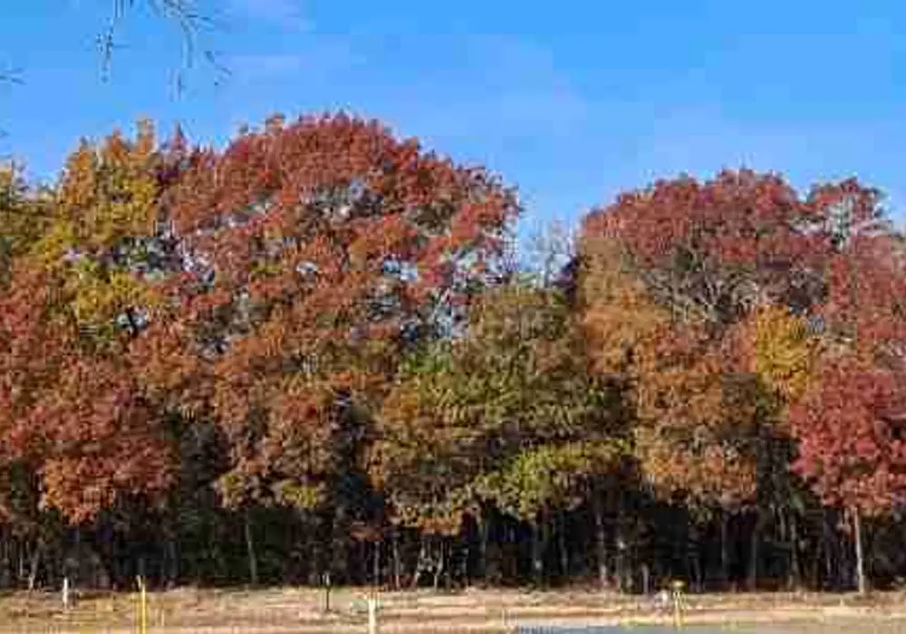 NamaStay Hideaway image 1