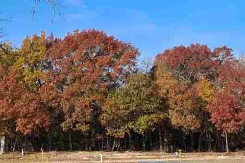 NamaStay Hideaway - Tiny home community in Van Alstyne, Texas
