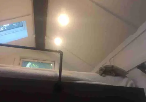 Good Earth Farm image 4