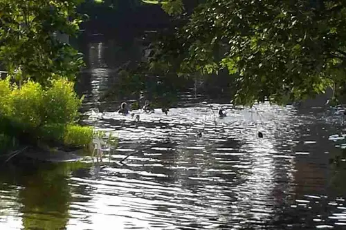 Horsehoe Flats Campground - Tiny home community in Scottsville, Virginia