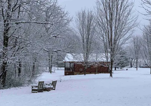 Mountain Creek Village image 4