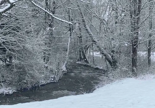 Mountain Creek Village image 5