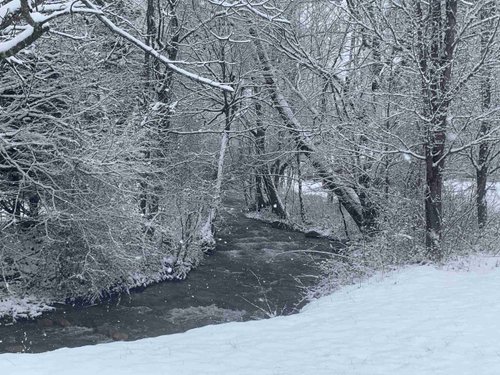 Mountain Creek Village image 5