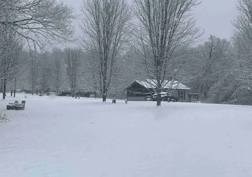 Mountain Creek Village image 3