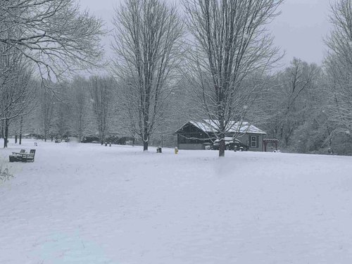 Mountain Creek Village image 3