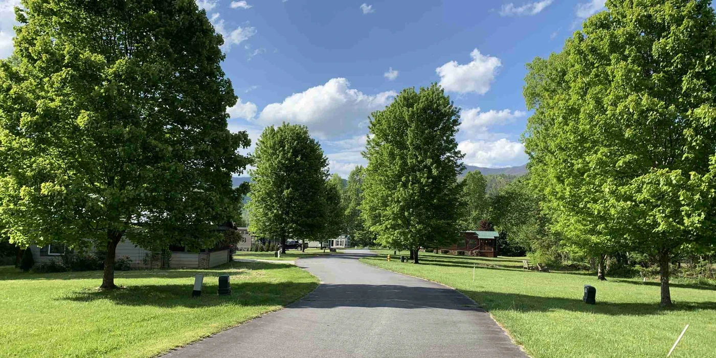 Inside Alternative Living: 3 Vibrant Tiny Home Communities in North Carolina hero image