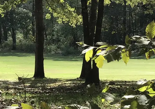 Dogwood Hills Tiny Home Community image 2