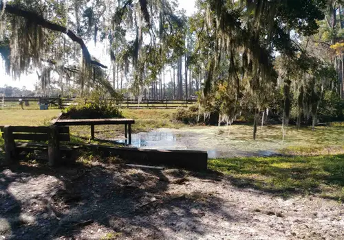 Needmore Land Ranch image 4