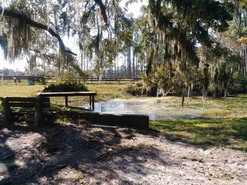 Needmore Land Ranch image 4
