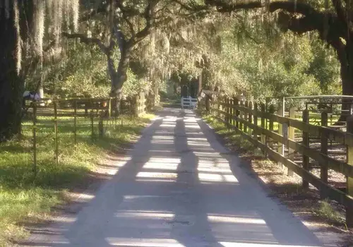 Needmore Land Ranch image 3