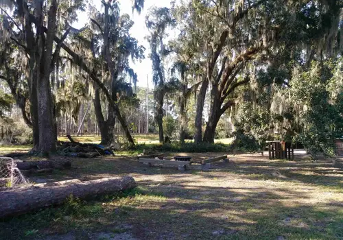Needmore Land Ranch image 5
