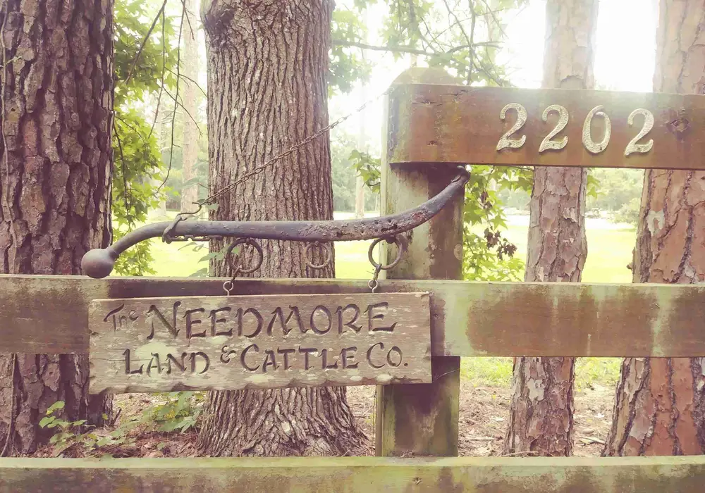 Needmore Land Ranch image 1