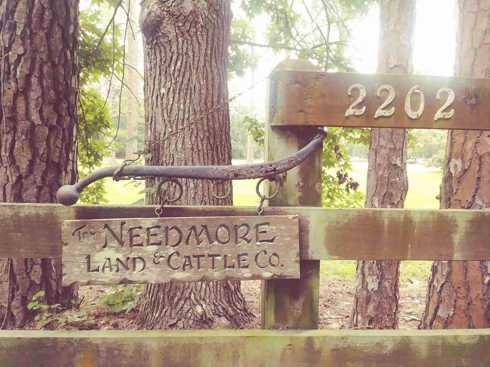 Needmore Land Ranch image 1