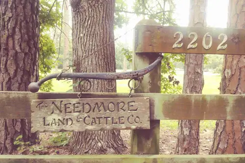 Needmore Land Ranch - Tiny home community in Fruit Cove, Florida