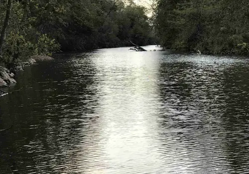 Kings River Hitchin Post image 3