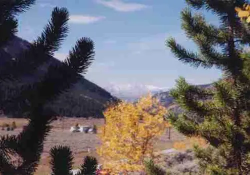 Tiny House Leadville image 2