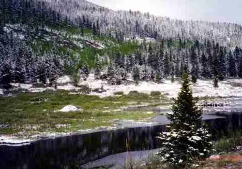 Tiny House Leadville image 3