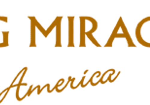 Living Miracles Worldwide image 2