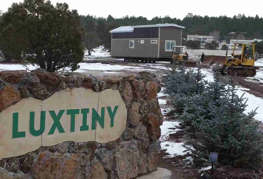 LuxTiny image 1