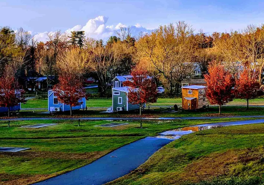 The Meadows by Simple Life image 1