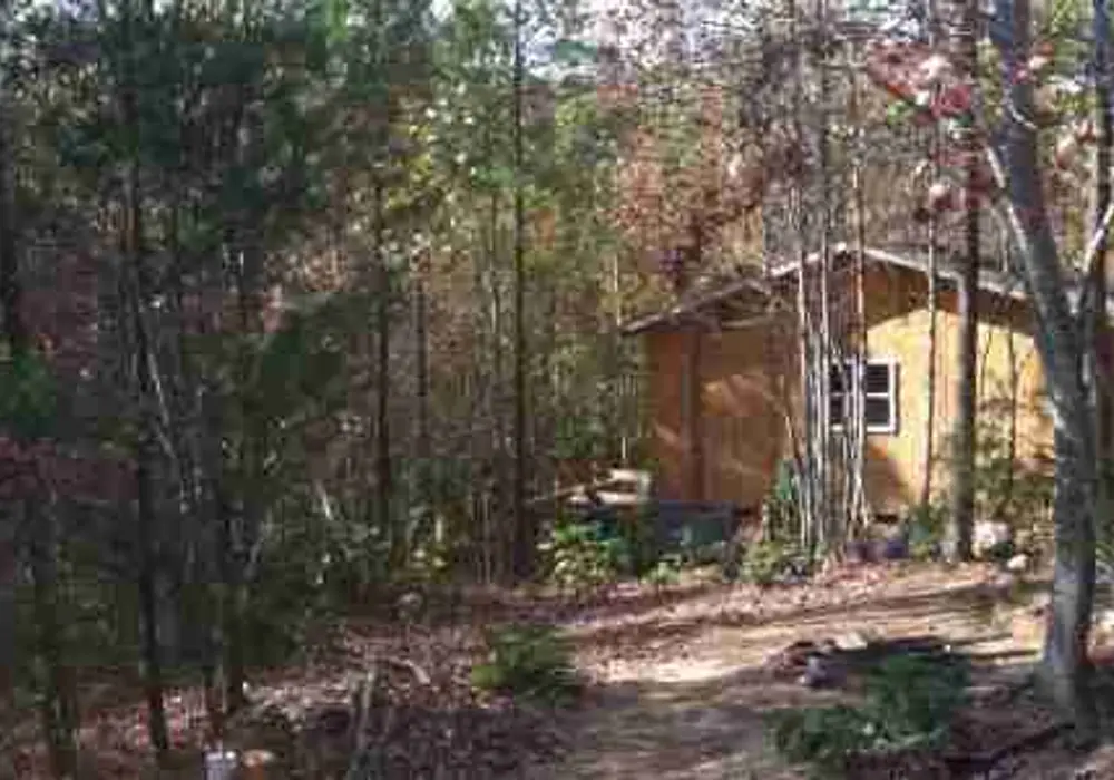 Path to Peace image 1