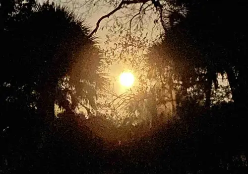 Peacewind cottages image 4