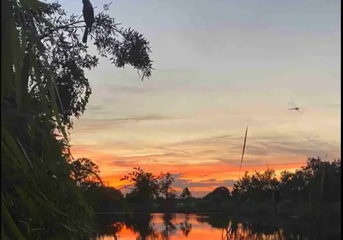 Peacewind cottages image 5