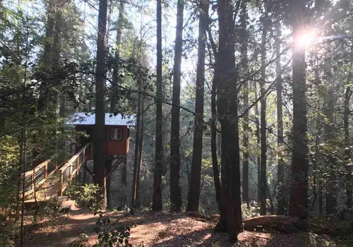 Pine Grove Cobb image 2