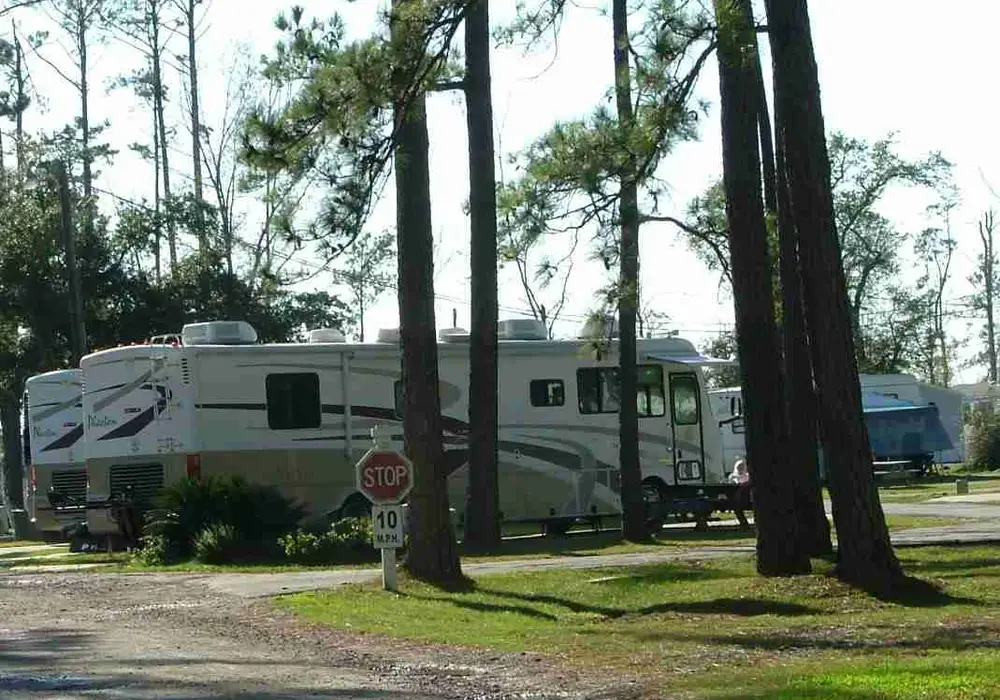 Pine Crest Park image 1