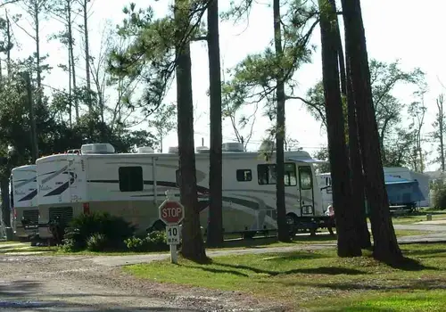 Pine Crest Park image 4