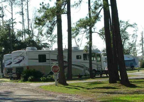 Pine Crest Park